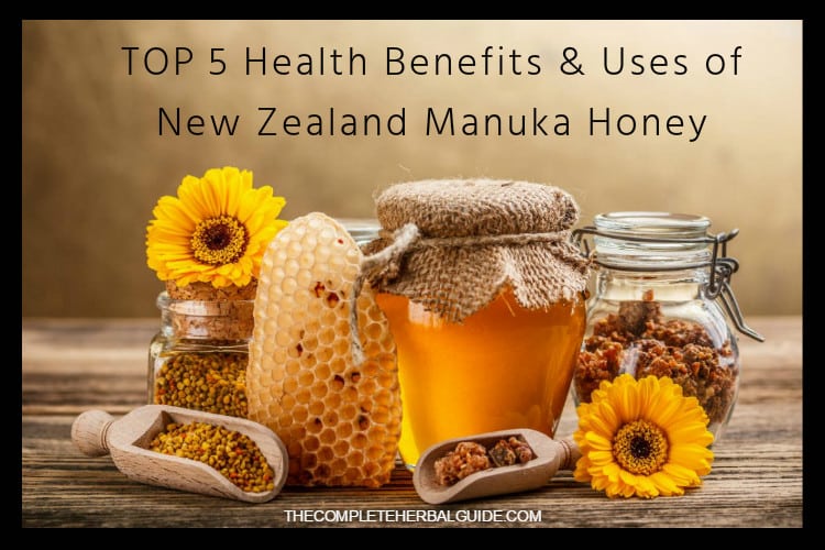 Top 5 Health Benefits & Uses of New Zealand Manuka Honey