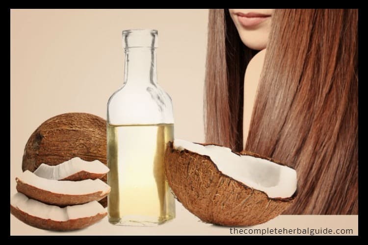 Coconut Oil for Hair: Here Are 5 Ways to Use It