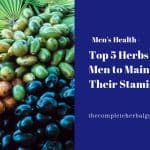 Top 5 Herbs for Men to Maintain Their Stamina