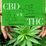 CBD-vs-THC