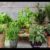 The Guide to Growing Herbs at Home