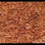 acacia bark uses