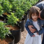 140306105201-05-uses-for-medical-marijuana-restricted-horizontal-large-gallery