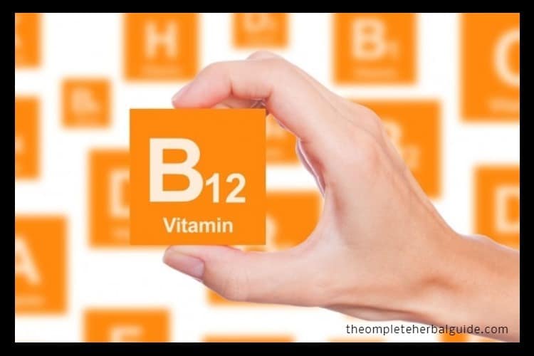 Everything You Need To Know About B Deficiencies