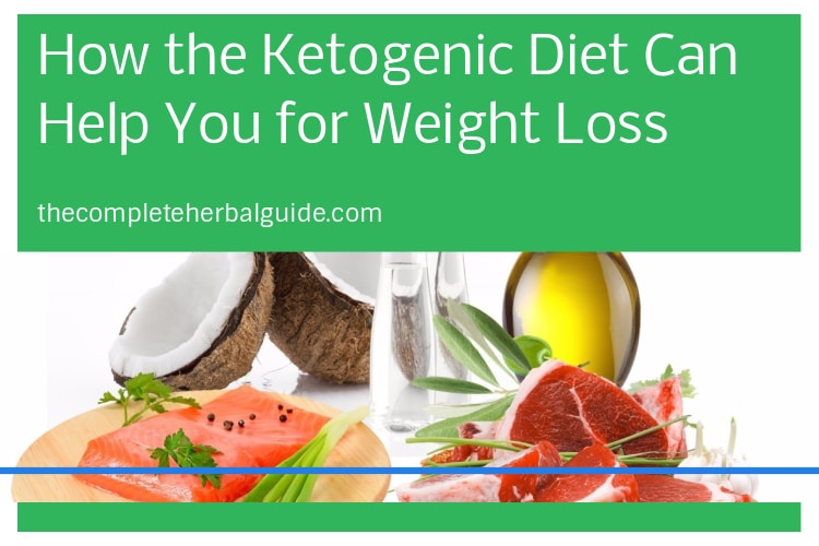 How the Ketogenic Diet Can Help You for Weight Loss