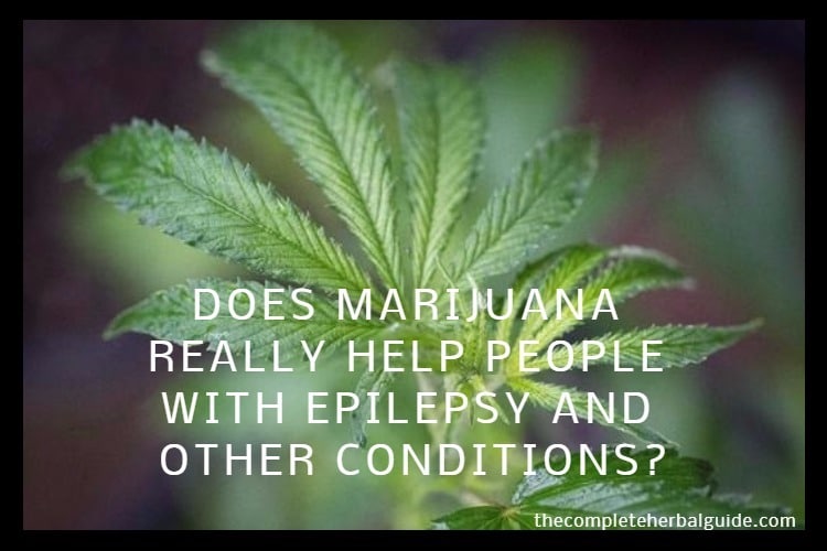 DOES MARIJUANA REALLY HELP PEOPLE WITH EPILEPSY AND OTHER CONDITIONS