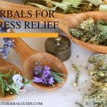 HERBALS FOR STRESS RELIEF