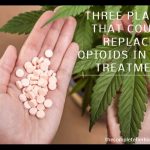 Three Plants That Could Replace Opioids in Pain Treatment