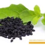Black Seed Oil: The Holy Grail of Holistic Health
