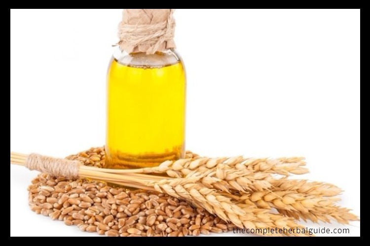 Wheat-Germ Oil