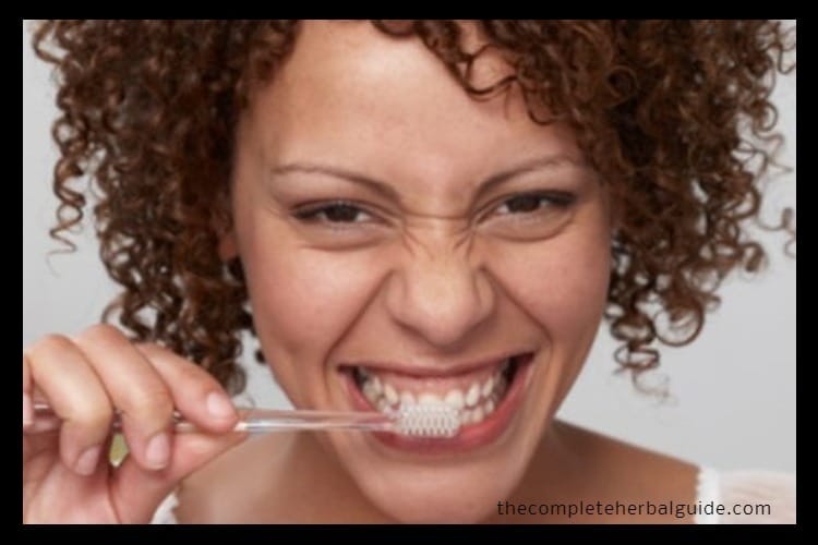 Tea Tree Oil Toothpaste for Oral Health