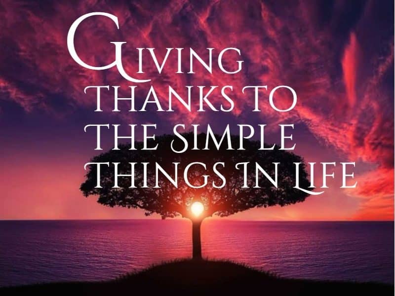 APPRECIATION_Giving Thanks to the Simple Things In Life