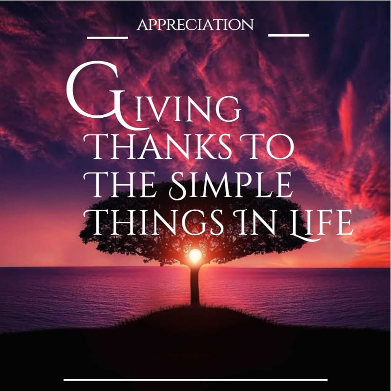 APPRECIATION_Giving Thanks to the Simple Things In Life