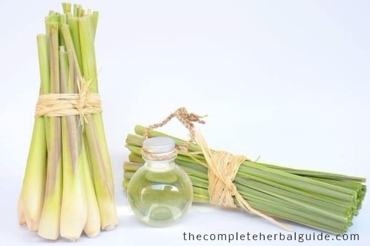 Lemongrass-essential-oil