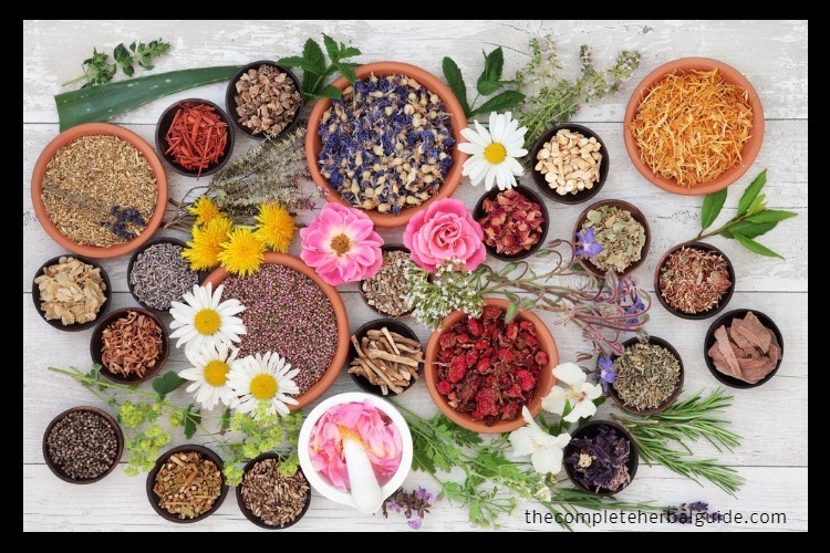 herbal remedies
