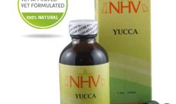 Yucca_for_cat_pain_appetite_digestion