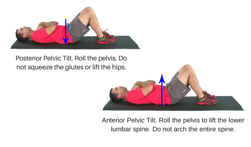 pelvic tilts