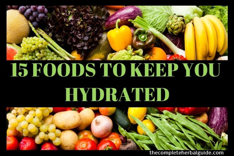 15 Foods That Help Keep You Stay Hydrated Health And Natural Healing Tips