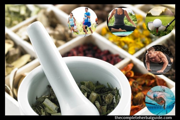 Herbal Remedies for Boosting Athletic Performance Naturally