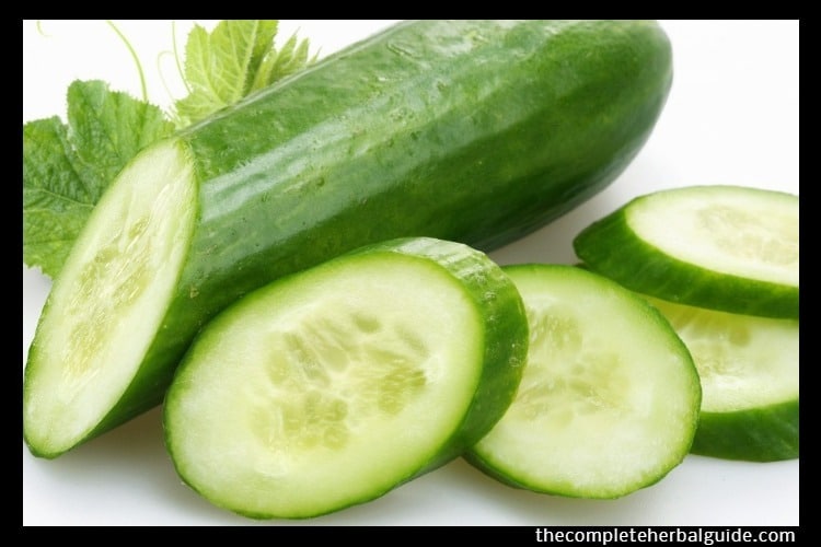 cucumber