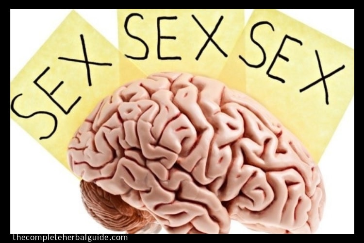 Hypersexuality Sex Addiction Signs Symptoms Causes And Treatment Health And Natural 