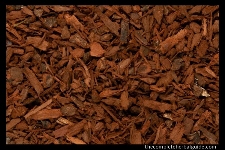 pygeum bark