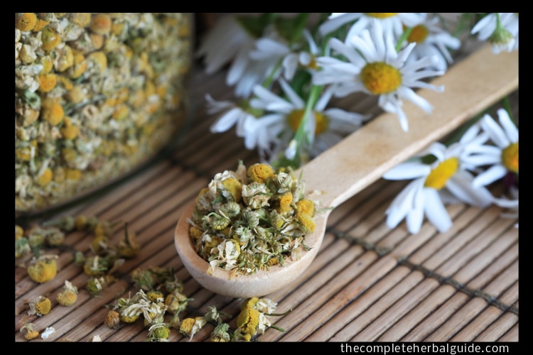 Image source: Adobe Stock royalty-free image #67436608, 'Dried Camomile' uploaded by cosma, standard license purchased from https://stock.adobe.com/images/download/67436608; file retrieved on July 29th, 2019. License details available at https://stock.adobe.com/license-terms - image is licensed under the Adobe Stock Standard License