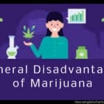 General Disadvantages of Marijuana