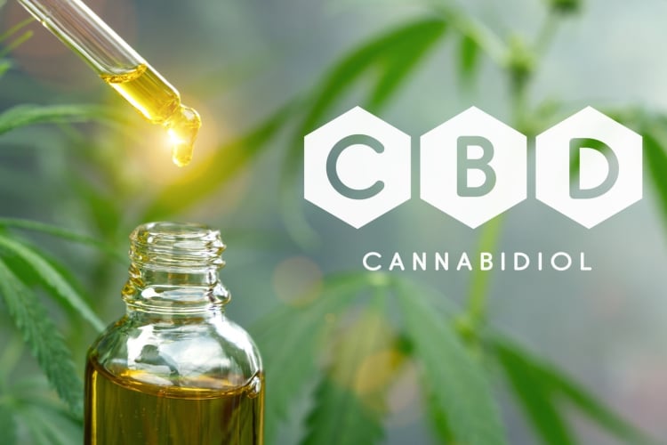 CBD oil: The medicinal usages, benefits, and risks