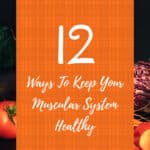 Ways To Keep Your Muscular System Healthy