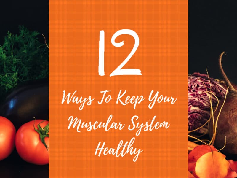 Ways To Keep Your Muscular System Healthy