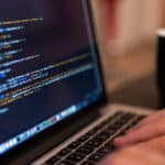 The Busy Bee_ Why Your Free Time Matters