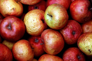 Can I find customer reviews of TestoPrime and Prime Male?