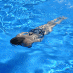 benefits of swimming